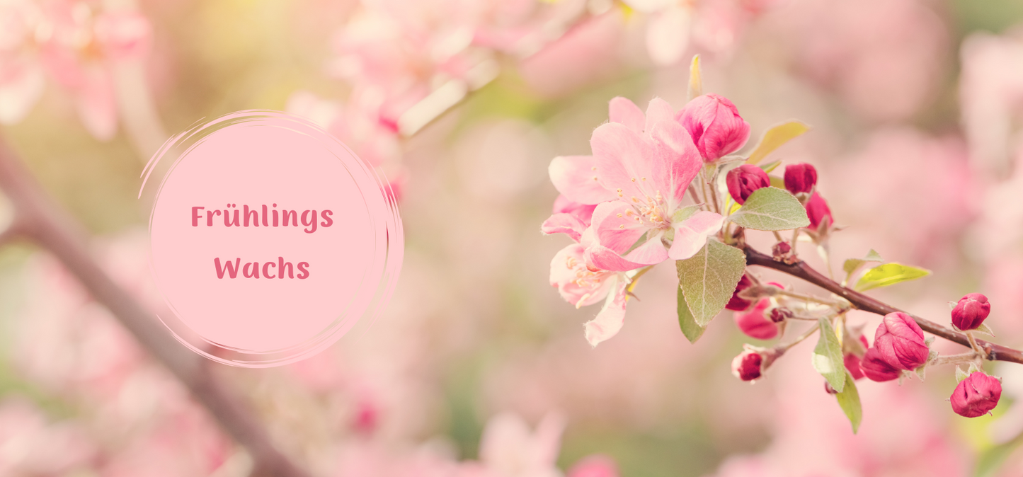 Aufbewahrungsbox für Diamond Painting Duftwachs