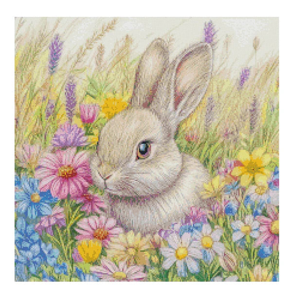 Hase - Vorbestellung