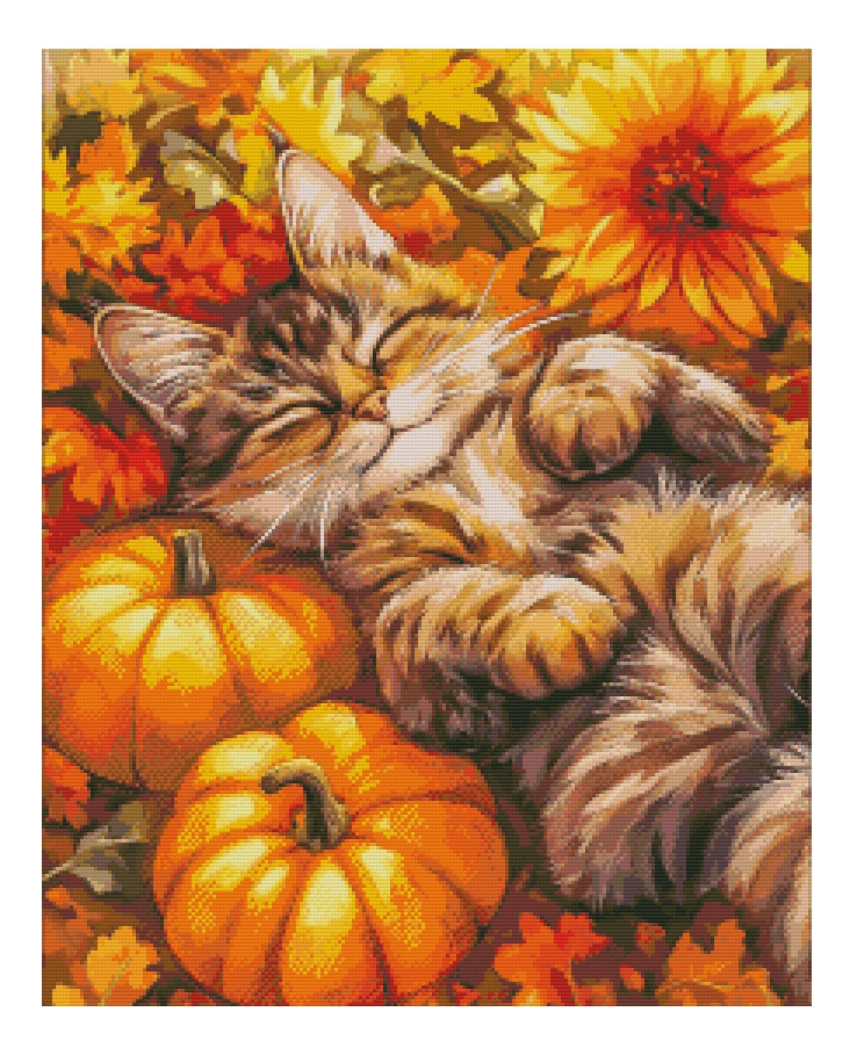 Herbstträume - Vorbestellung