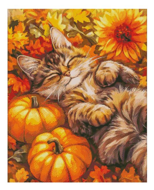 Herbstträume