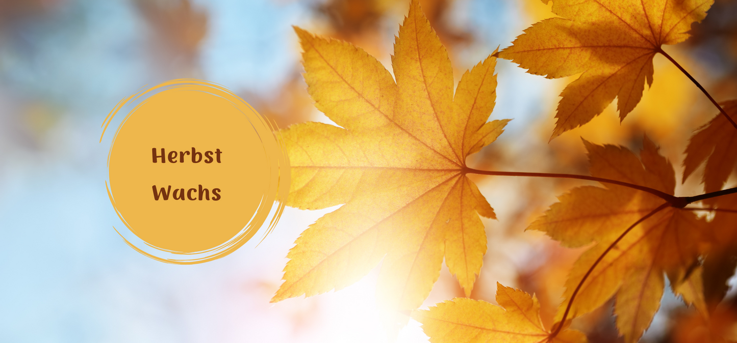 Aufbewahrungsbox für Diamond Painting Duftwachs