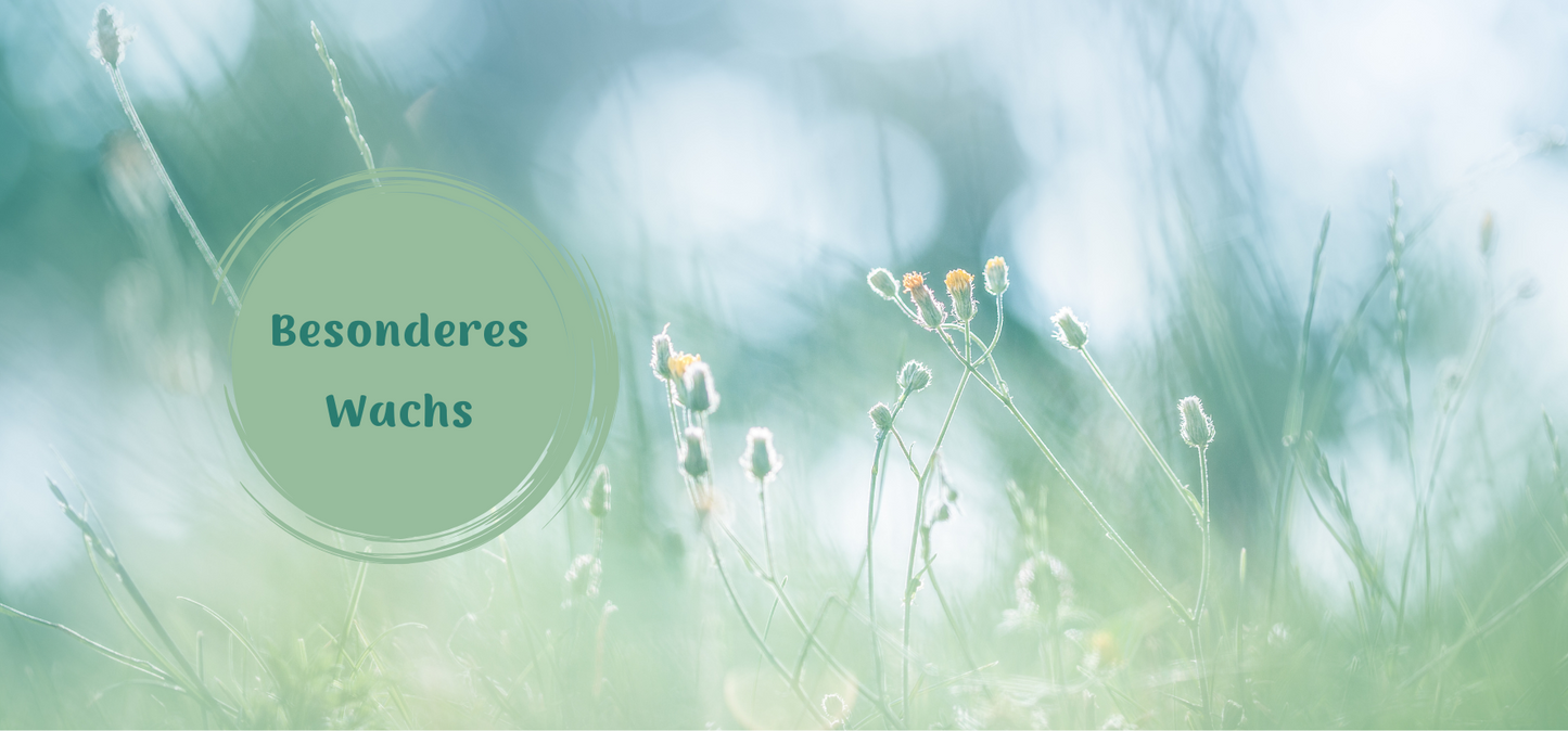 Aufbewahrungsbox für Diamond Painting Duftwachs