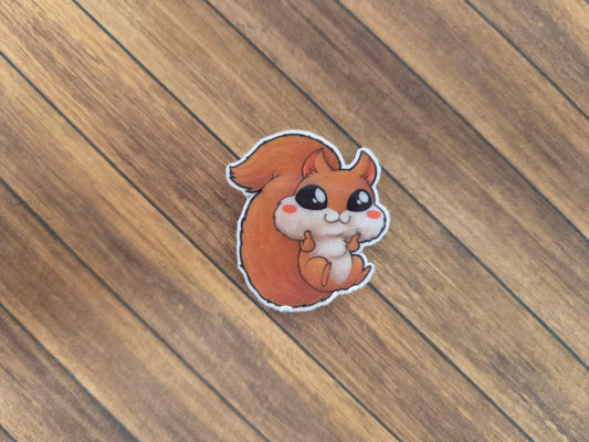 Eichhörnchen